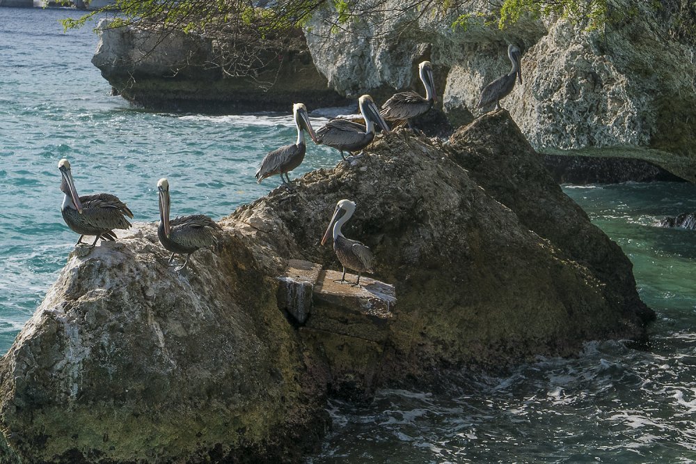Curacao