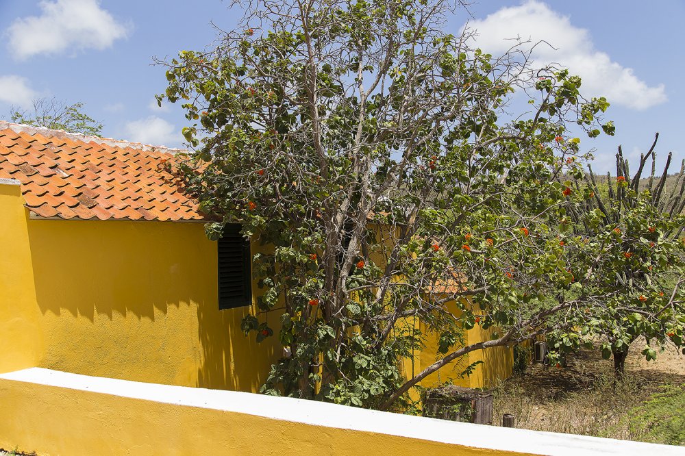 Curacao