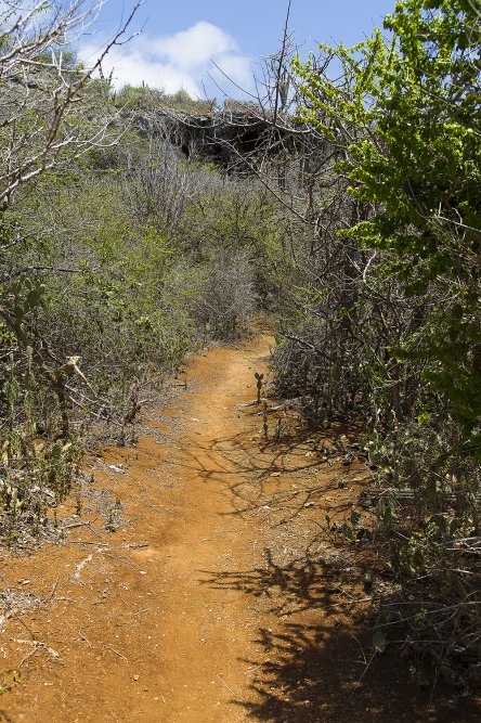 Curacao