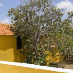 Curacao